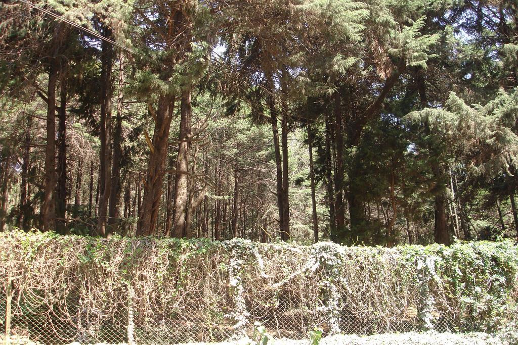 The Red House Bed and Breakfast Ooty Εξωτερικό φωτογραφία